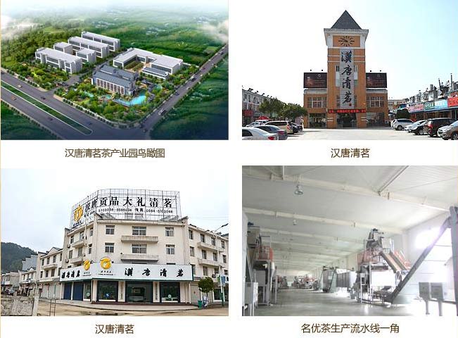 安徽霍山漢唐清茗茶葉有限公司成功簽約智絡連鎖會員管理系統